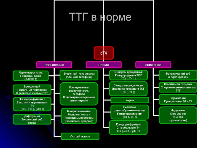 ТТГ в норме