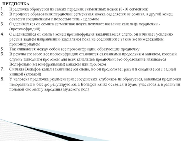 ПРЕДПОЧКА Предпочка образуется из самых передних сегментных ножек (8-10 сегментов)