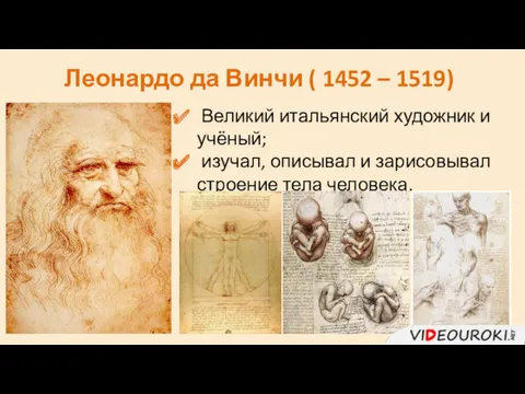 Леонардо да Винчи ( 1452 – 1519) Великий итальянский художник