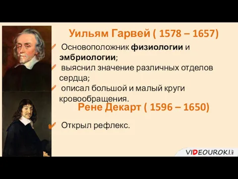 Уильям Гарвей ( 1578 – 1657) Основоположник физиологии и эмбриологии;