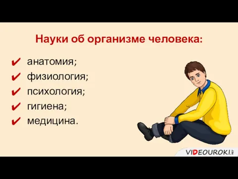 Науки об организме человека: анатомия; физиология; психология; гигиена; медицина.