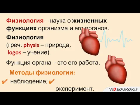 Физиология – наука о жизненных функциях организма и его органов.