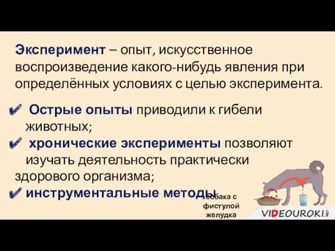 Эксперимент – опыт, искусственное воспроизведение какого-нибудь явления при определённых условиях