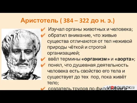 Аристотель ( 384 – 322 до н. э.) Изучал органы