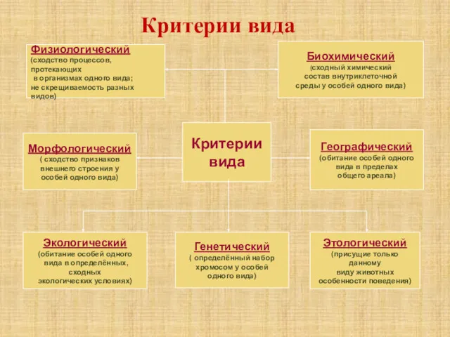 Критерии вида Физиологический (сходство процессов, протекающих в организмах одного вида;