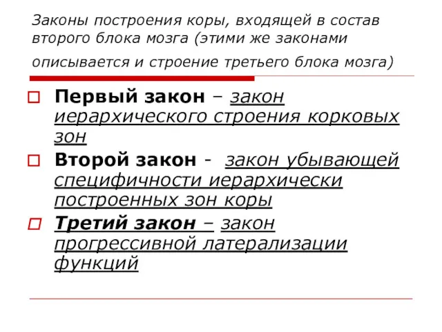 Законы построения коры, входящей в состав второго блока мозга (этими