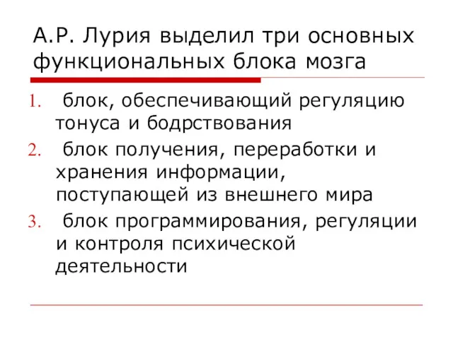 А.Р. Лурия выделил три основных функциональных блока мозга блок, обеспечивающий