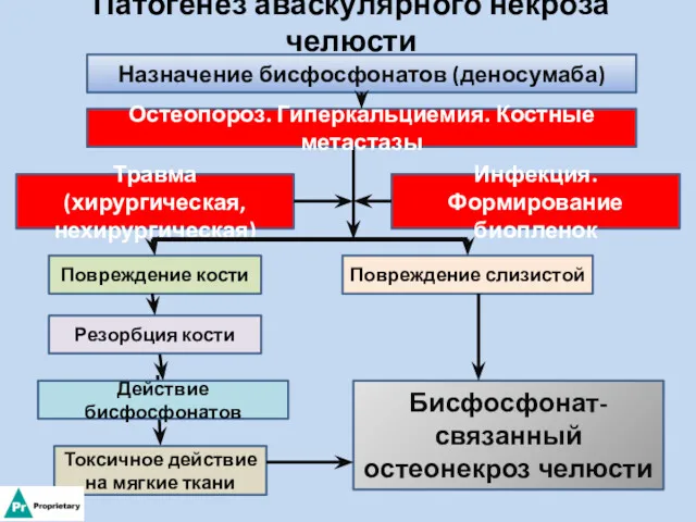 Патогенез аваскулярного некроза челюсти Назначение бисфосфонатов (деносумаба) Остеопороз. Гиперкальциемия. Костные