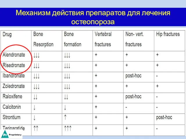 Механизм действия препаратов для лечения остеопороза