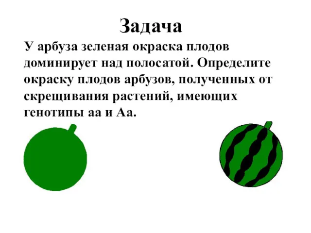 У арбуза зеленая окраска плодов доминирует над полосатой. Определите окраску плодов арбузов, полученных