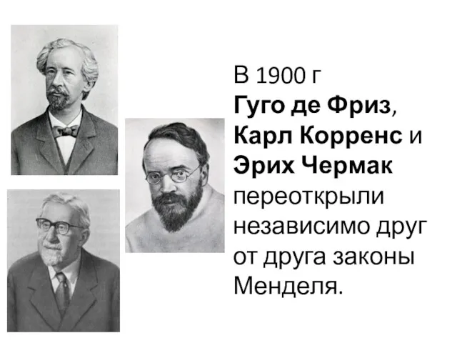В 1900 г Гуго де Фриз, Карл Корренс и Эрих