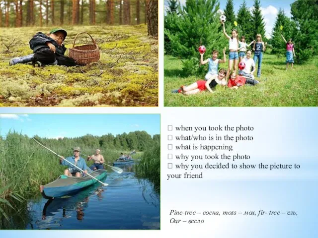 Pine-tree – сосна, moss – мох, fir- tree – ель, Oar – весло