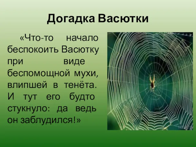 Догадка Васютки «Что-то начало беспокоить Васютку при виде беспомощной мухи,