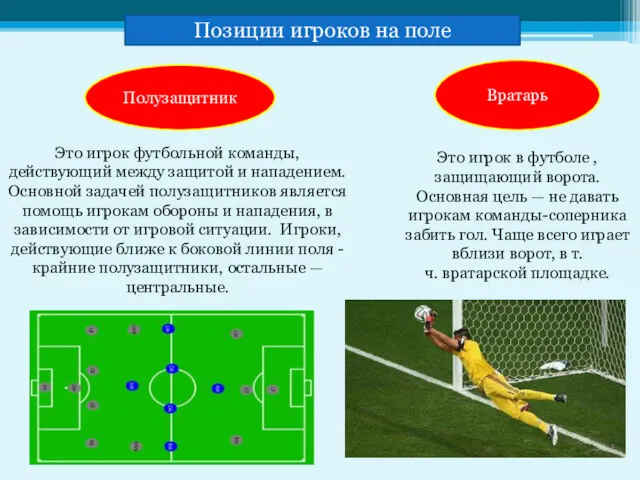 Полузащитник Вратарь Позиции игроков на поле Это игрок футбольной команды,