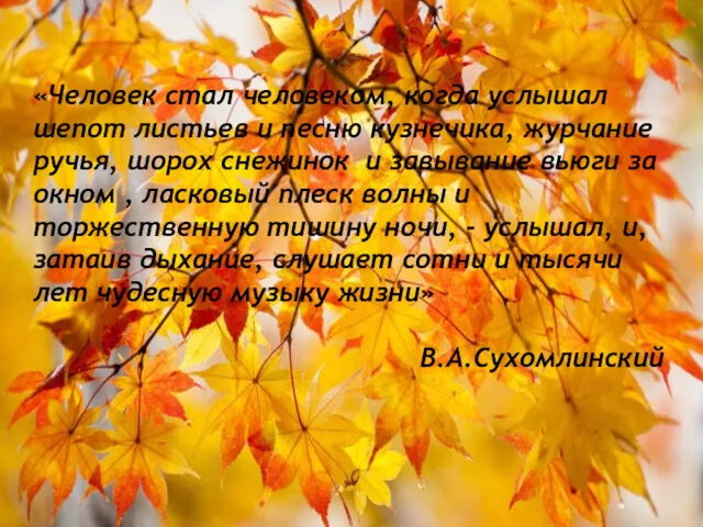 «Человек стал человеком, когда услышал шепот листьев и песню кузнечика,