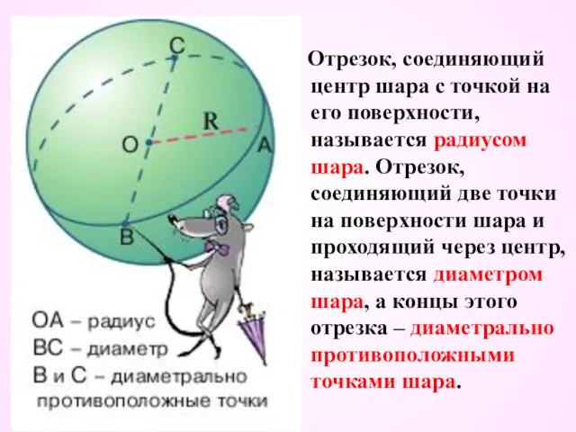 Отрезок, соединяющий центр шара с точкой на его поверхности, называется