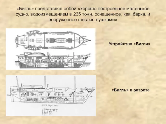 «Бигль» представлял собой «хорошо построенное маленькое судно, водоизмещением в 235