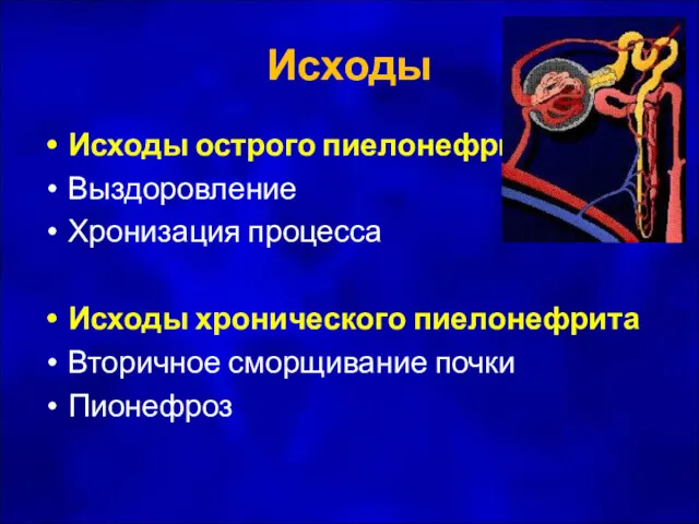 Исходы Исходы острого пиелонефрита Выздоровление Хронизация процесса Исходы хронического пиелонефрита Вторичное сморщивание почки Пионефроз