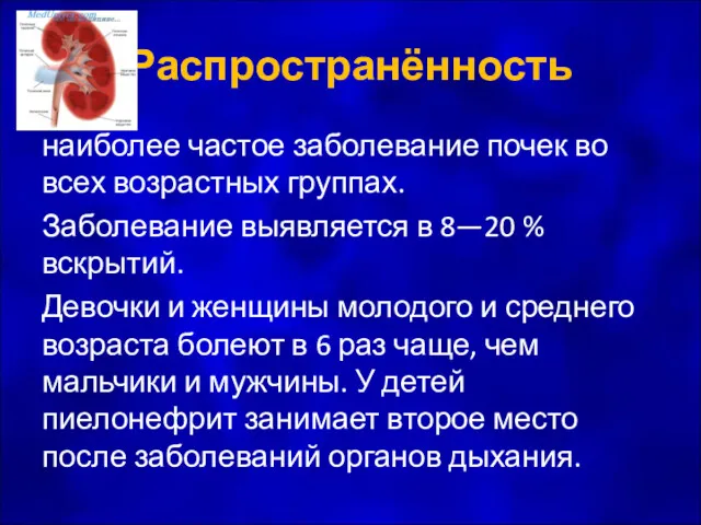 Распространённость наиболее частое заболевание почек во всех возрастных группах. Заболевание