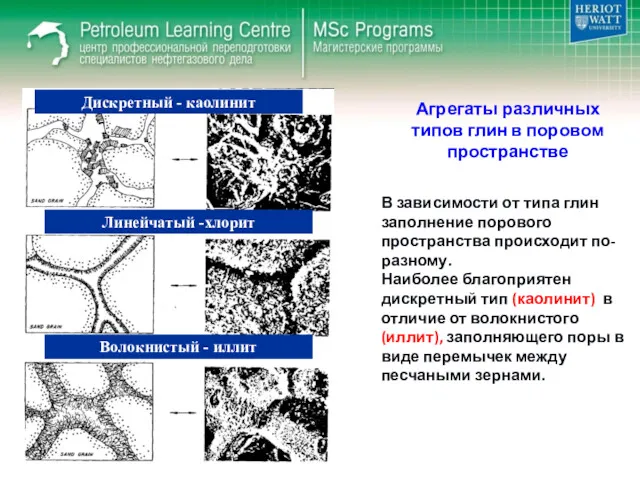 Агрегаты различных типов глин в поровом пространстве Дискретный - каолинит