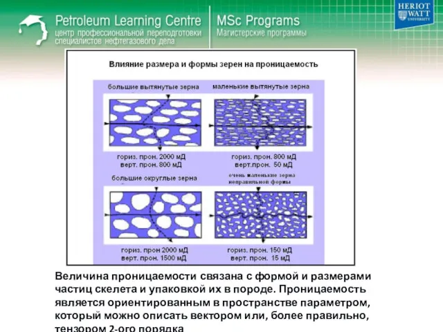 Величина проницаемости связана с формой и размерами частиц скелета и