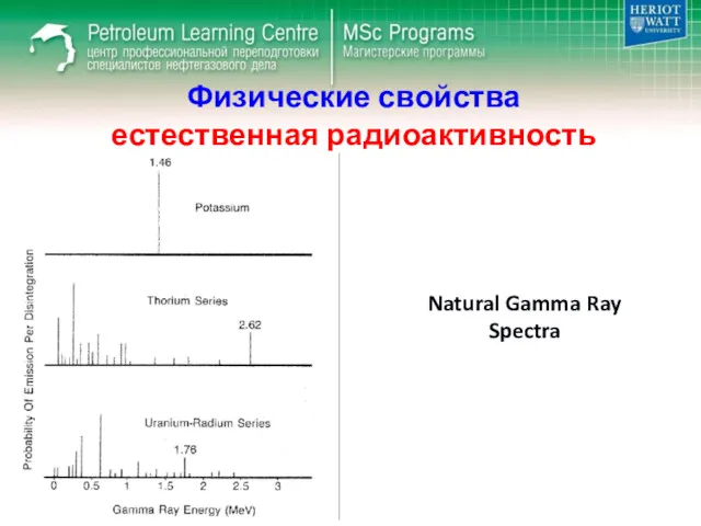 Физические свойства естественная радиоактивность Natural Gamma Ray Spectra