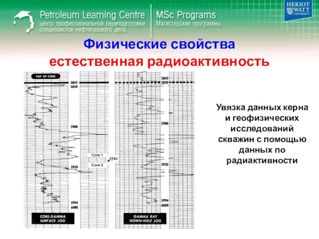 Физические свойства естественная радиоактивность Увязка данных керна и геофизических исследований скважин с помощью данных по радиактивности