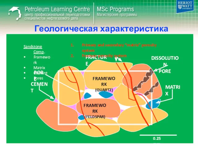 Геологическая характеристика