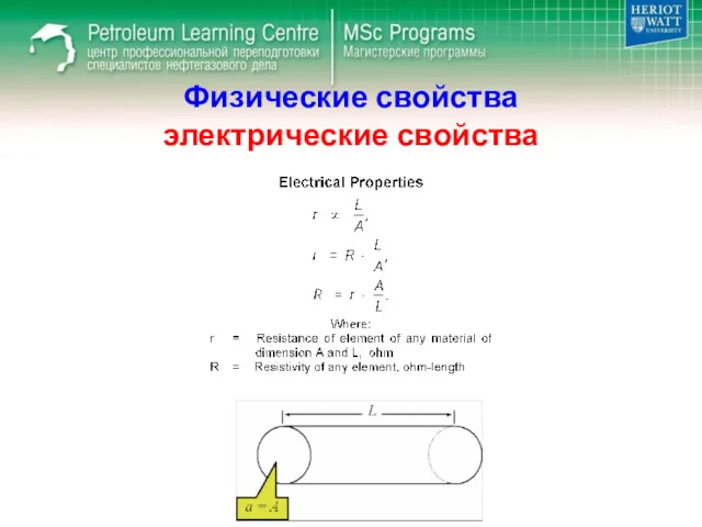 Физические свойства электрические свойства