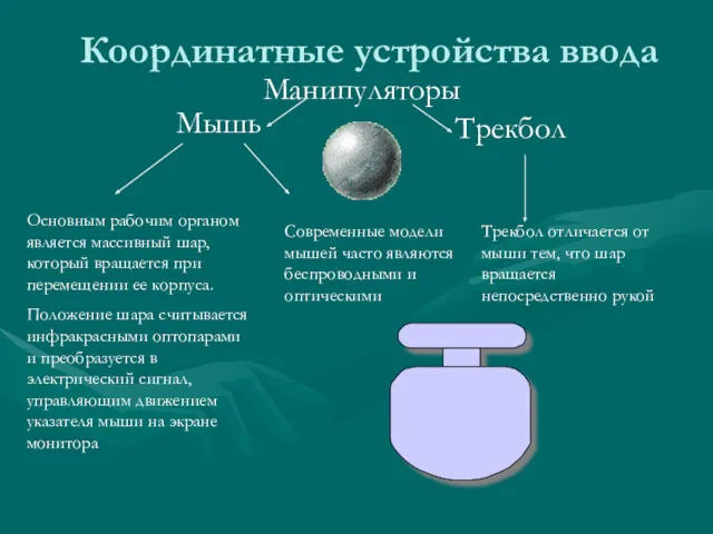 Мышь Координатные устройства ввода Основным рабочим органом является массивный шар,