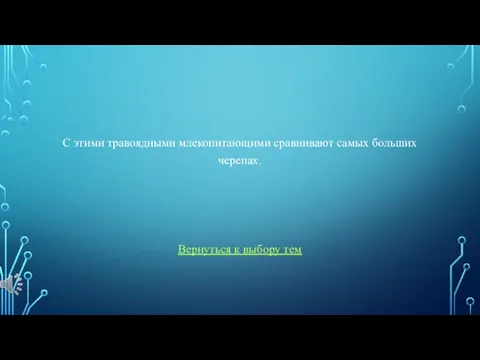 С этими травоядными млекопитающими сравнивают самых больших черепах. Вернуться к выбору тем