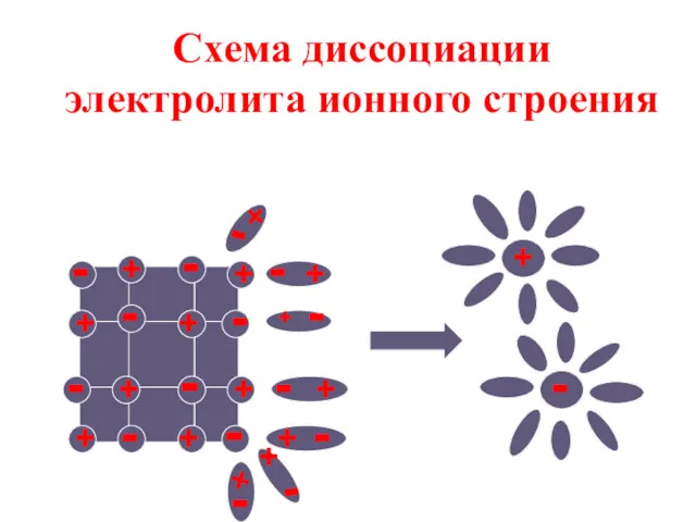 Схема диссоциации электролита ионного строения + + + + +