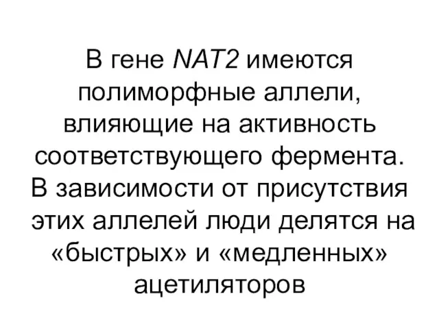 В гене NAT2 имеются полиморфные аллели, влияющие на активность соответствующего