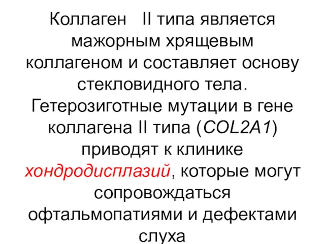 Коллаген II типа является мажорным хрящевым коллагеном и составляет основу