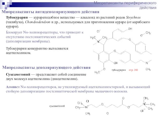 Миорелаксанты периферического действия Тубокурарин — курареподобное вещество — алкалоид из растений родов Strychnos