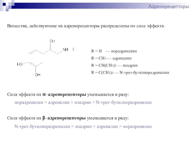 Адренорецепторы Вещества, действующие на адренорецепторы распределены по силе эффекта. норадреналин