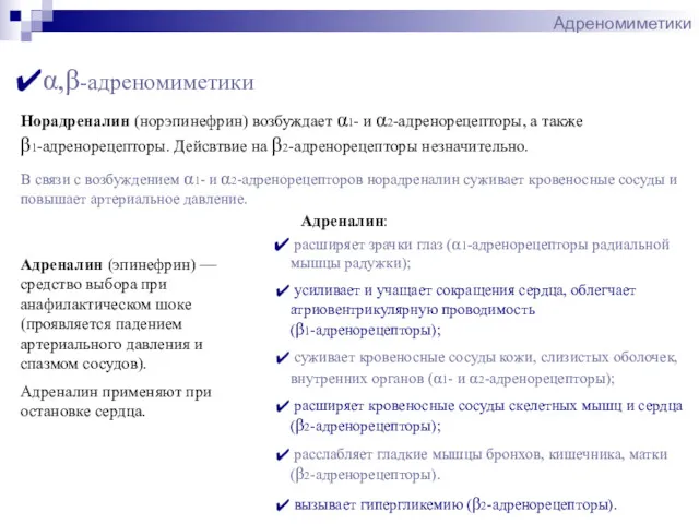 Адреномиметики Адреналин (эпинефрин) — средство выбора при анафилактическом шоке (проявляется