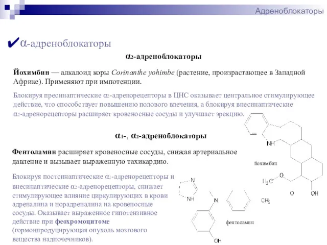 Адреноблокаторы йохимбин α-адреноблокаторы α2-адреноблокаторы фентоламин Йохимбин — алкалоид коры Corinanthe