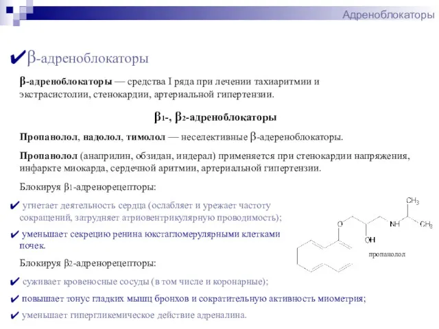 Адреноблокаторы β-адреноблокаторы пропанолол β-адреноблокаторы — средства I ряда при лечении