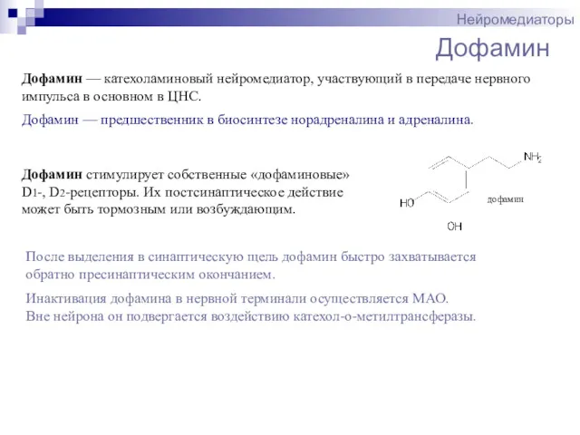 Дофамин Нейромедиаторы Дофамин — катехоламиновый нейромедиатор, участвующий в передаче нервного