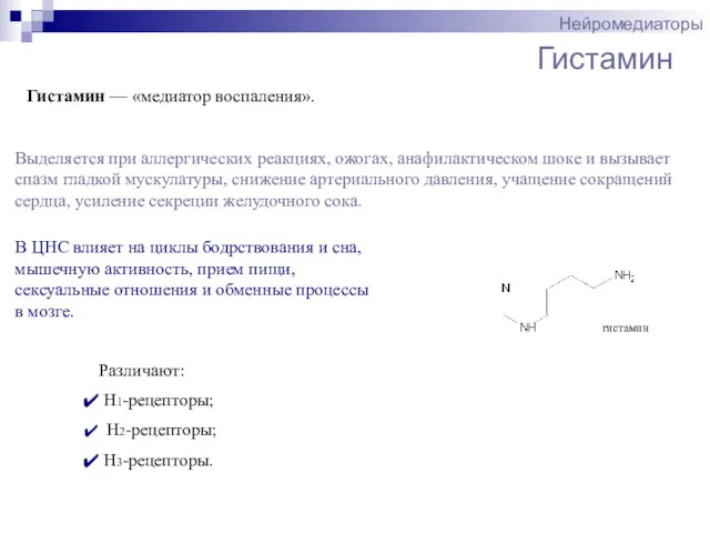 Гистамин Нейромедиаторы Гистамин — «медиатор воспаления». Выделяется при аллергических реакциях,