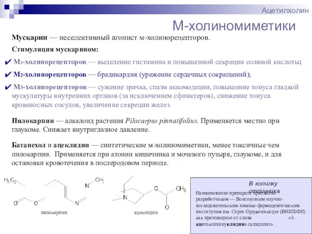 M-холиномиметики Ацетилхолин Мускарин — неселективный агонист м-холинорецепторов. Стимуляция мускарином: M1-холинорецепторов