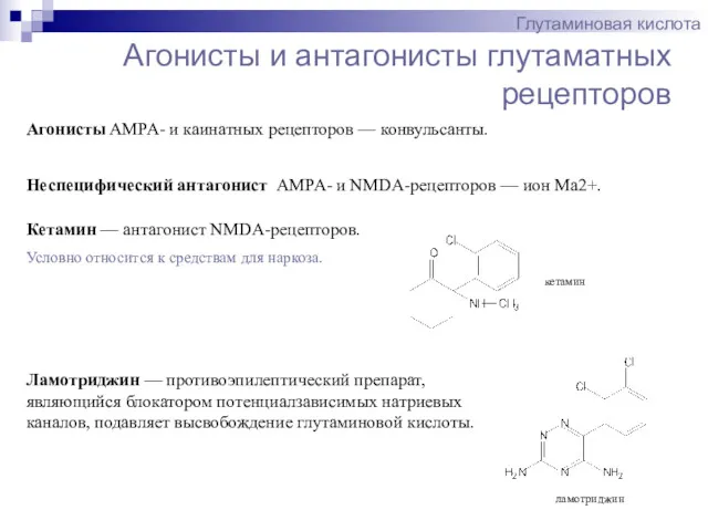Агонисты и антагонисты глутаматных рецепторов Глутаминовая кислота Агонисты AMPA- и каинатных рецепторов —