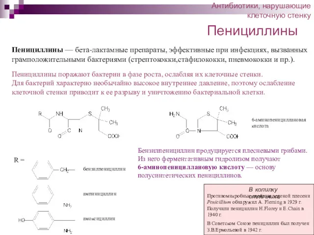 Пенициллины Антибиотики, нарушающие клеточную стенку Пенициллины — бета-лактамные препараты, эффективные