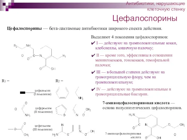 Цефалоспорины Антибиотики, нарушающие клеточную стенку Цефалоспорины — бета-лактамные антибиотики широкого спекта действия. R1