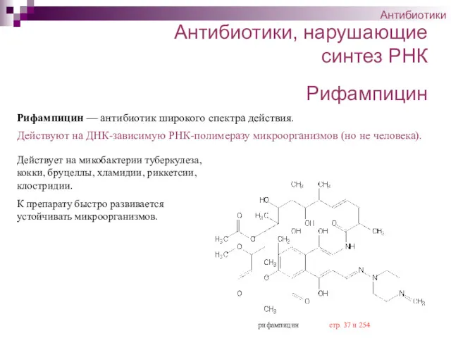 Антибиотики, нарушающие синтез РНК Антибиотики Действует на микобактерии туберкулеза, кокки,