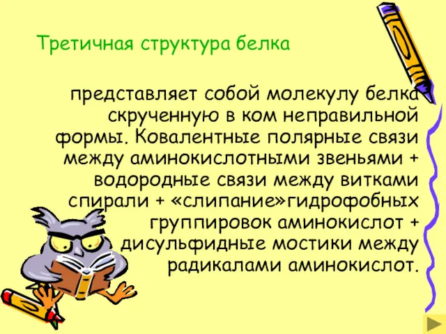 Третичная структура белка представляет собой молекулу белка скрученную в ком