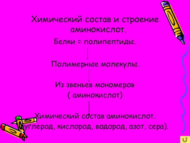 Химический состав и строение аминокислот. Белки = полипептиды. Полимерные молекулы.