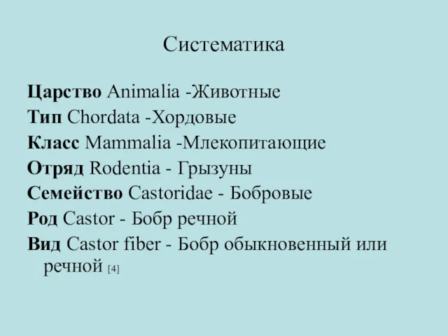 Систематика Царство Animalia -Животные Тип Chordata -Хордовые Класс Mammalia -Млекопитающие