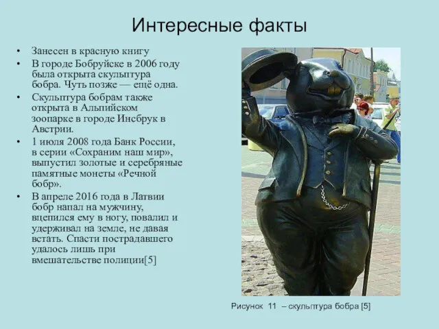 Интересные факты Занесен в красную книгу В городе Бобруйске в